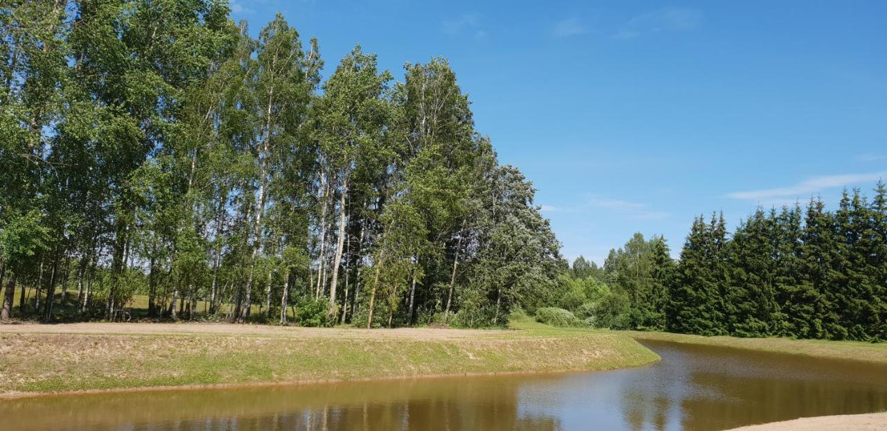 Lazariskio Apartamentai Martiniskenai Екстер'єр фото