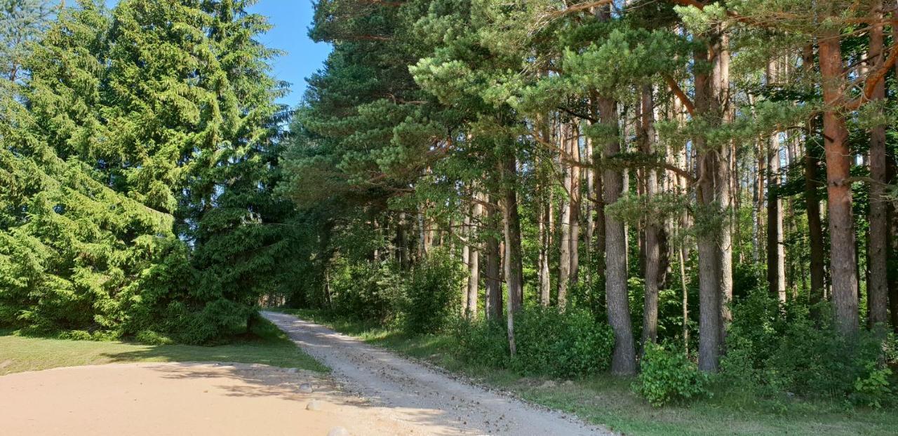 Lazariskio Apartamentai Martiniskenai Екстер'єр фото